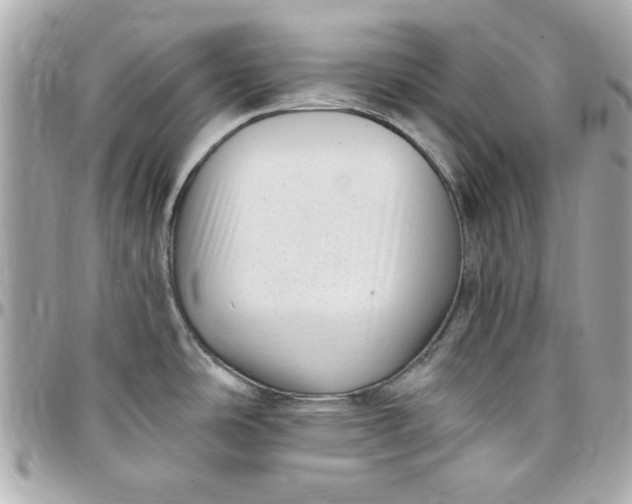 X0000097791486200803211810