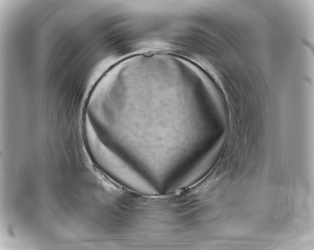 X0000097791488200803211810