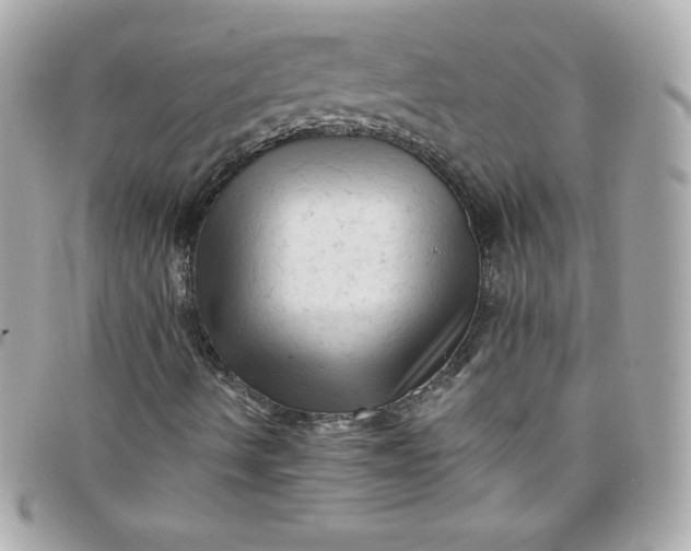 X0000097791490200803211809