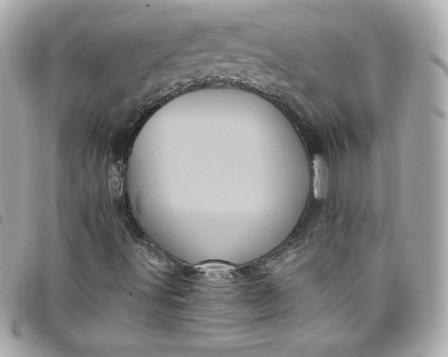 X0000097791491200803211809