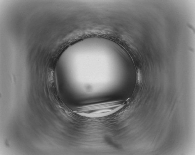 X0000097791492200803211809