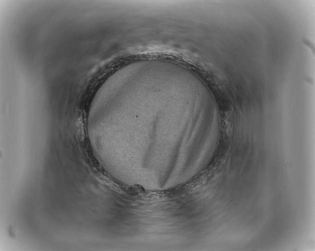 X0000097791493200803211809