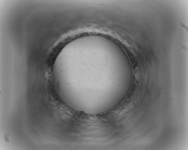 X0000097791495200803211809