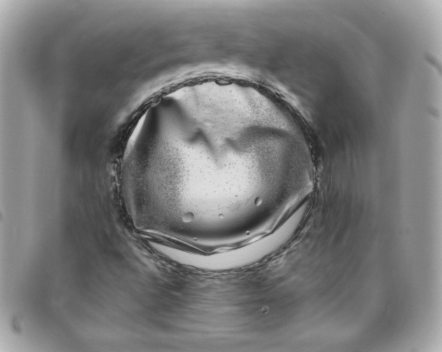 X0000097791496200803211809
