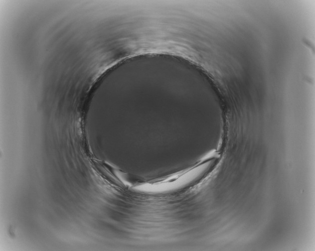 X0000097791497200803211809