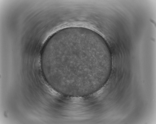 X0000097791498200803211809
