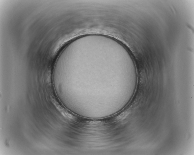 X0000097791499200803211809