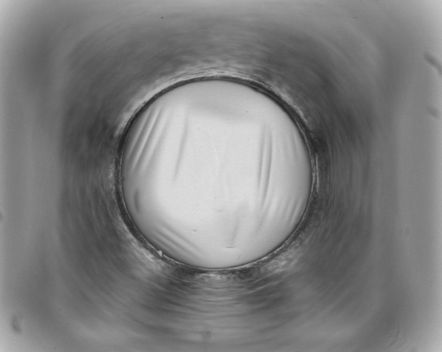X0000097791500200803211809