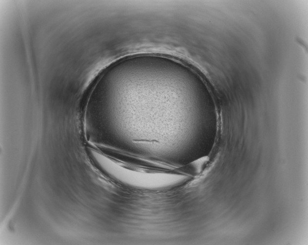 X0000097791501200803211809