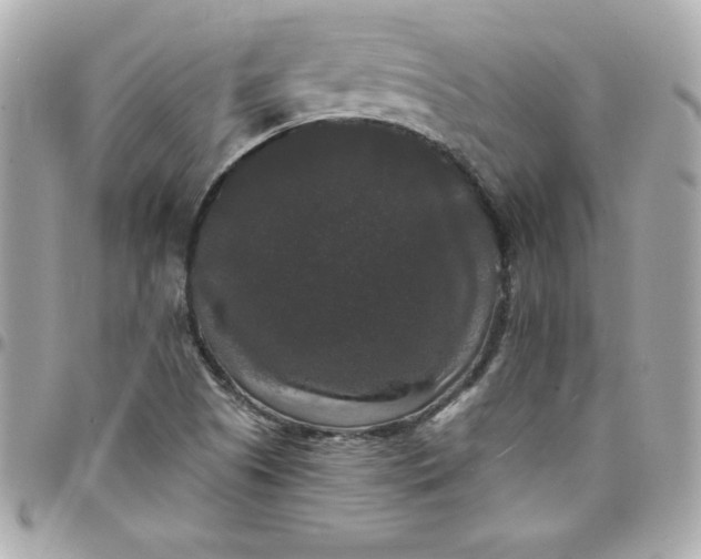 X0000097791505200803211809