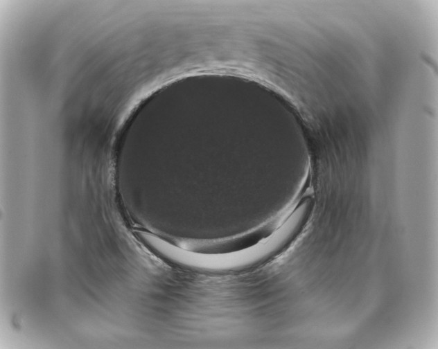 X0000097791506200803211809