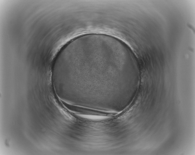 X0000097791507200803211809