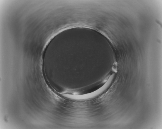 X0000097791508200803211809