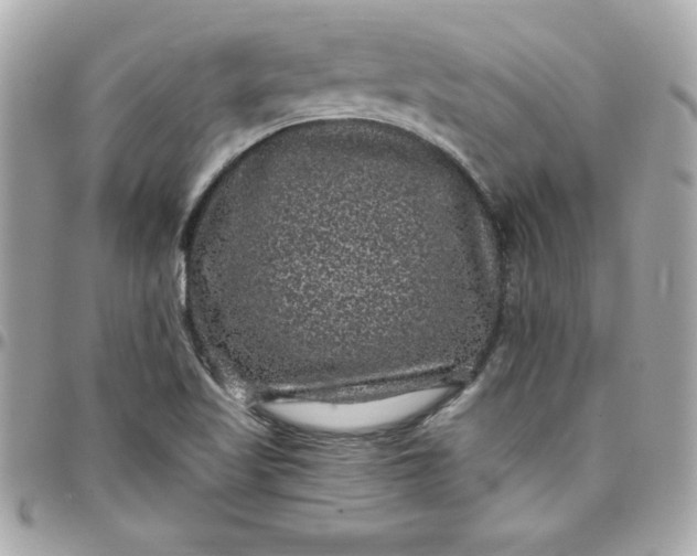X0000097791509200803211809