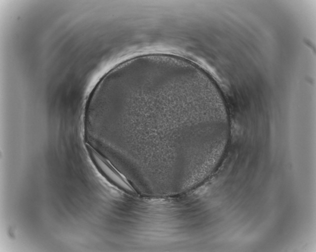 X0000097791512200803211809