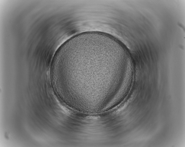 X0000097791513200803211809