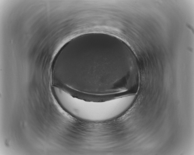 X0000097791515200803211809