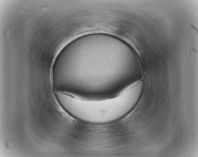 X0000097791516200803211809