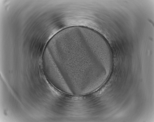 X0000097791521200803211809