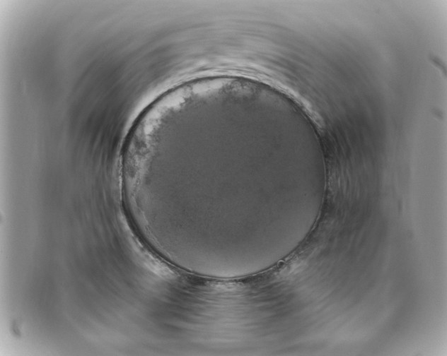 X0000097791522200803211809