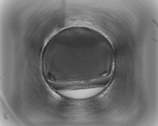 X0000097791525200803211809