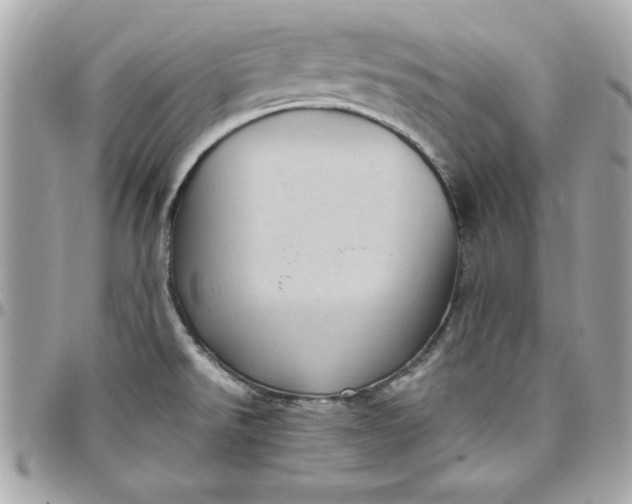 X0000097791526200803211809