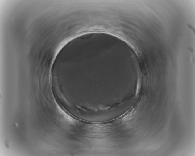 X0000097791527200803211809