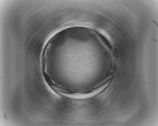 X0000097791528200803211809