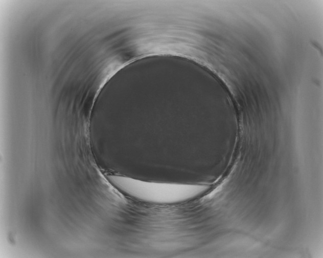 X0000097791529200803211809