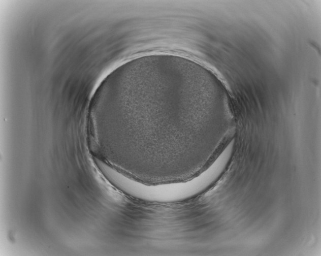 X0000097791530200803211809
