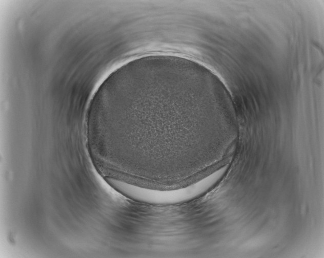 X0000097791531200803211810