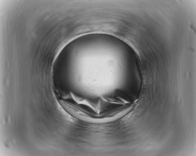 X0000097791532200803211810