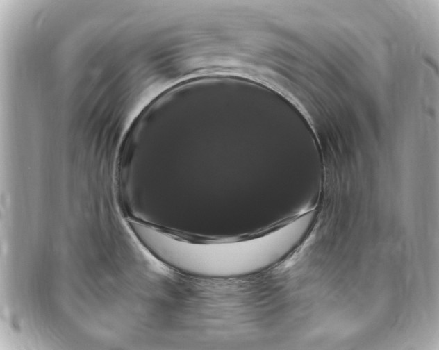 X0000097791533200803211810