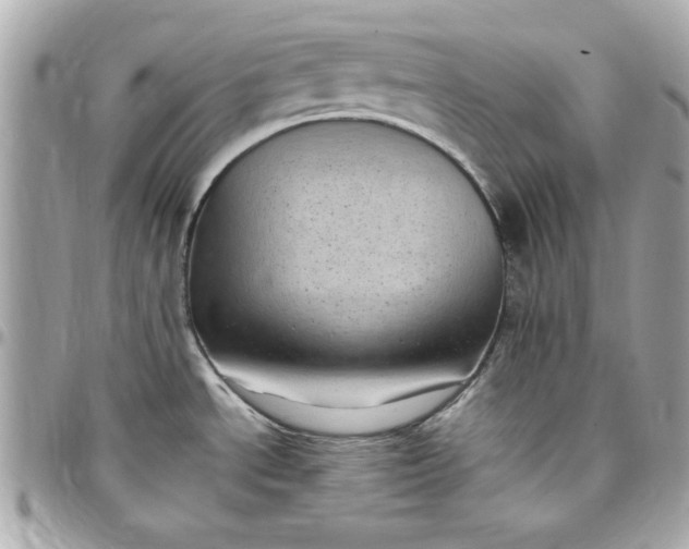 X0000097791534200803211810