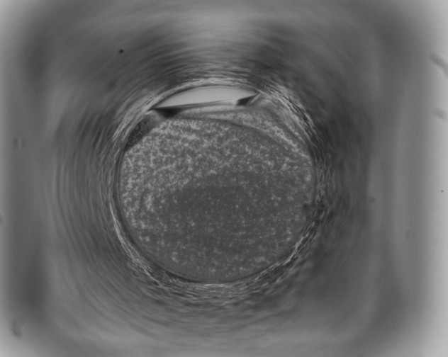 X0000097790001200803281733