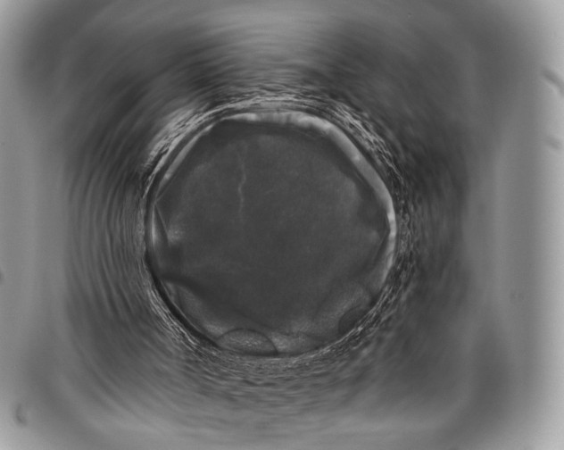 X0000097790002200803281733