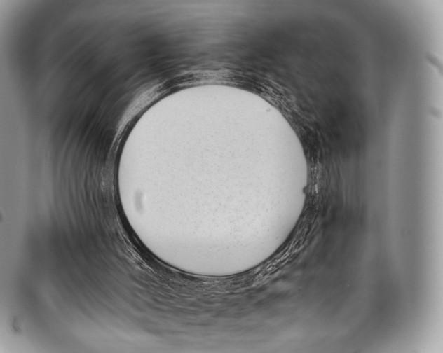 X0000097790004200803281733