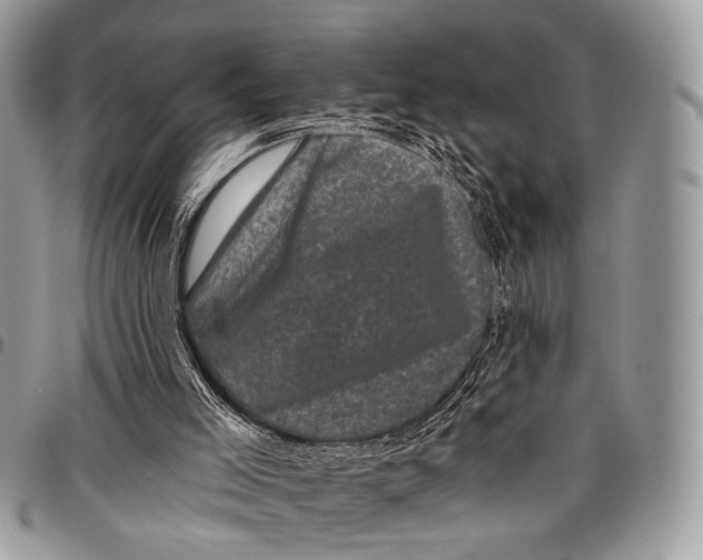 X0000097790005200803281733