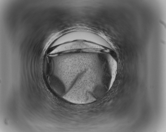 X0000097790007200803281733