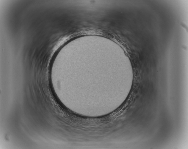 X0000097790008200803281733