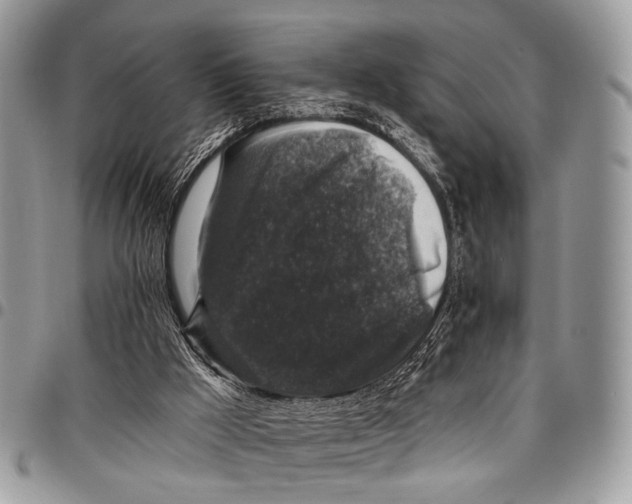 X0000097790009200803281733