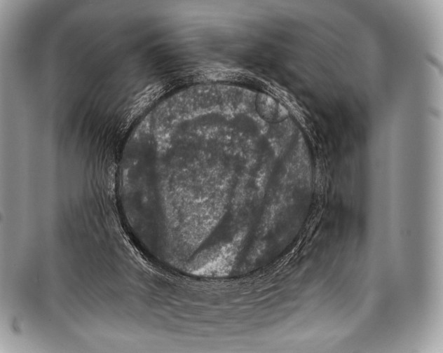 X0000097790010200803281733