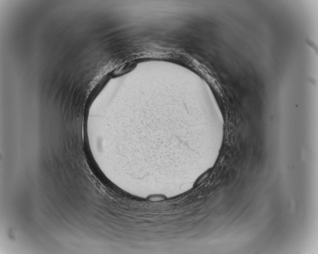 X0000097790011200803281733