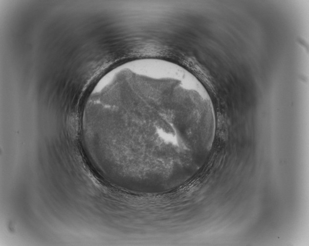 X0000097790012200803281733