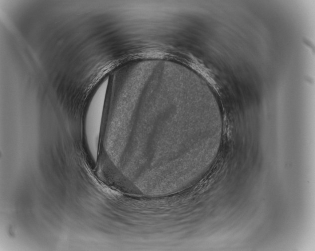 X0000097790013200803281733