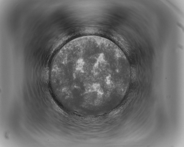 X0000097790016200803281733