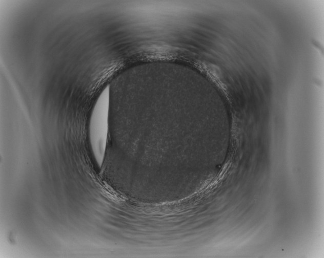X0000097790017200803281733