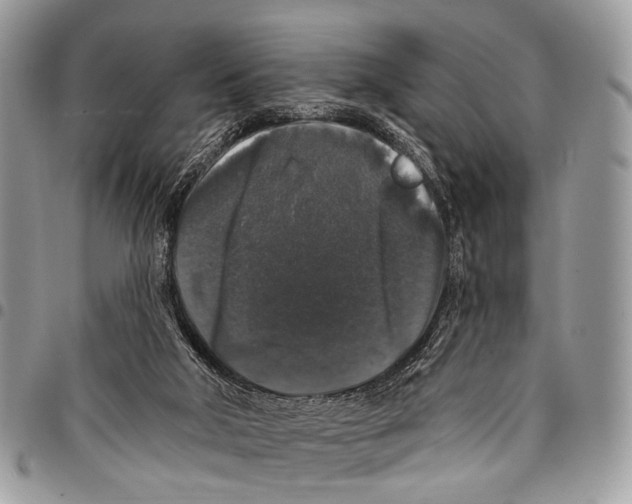 X0000097790018200803281733