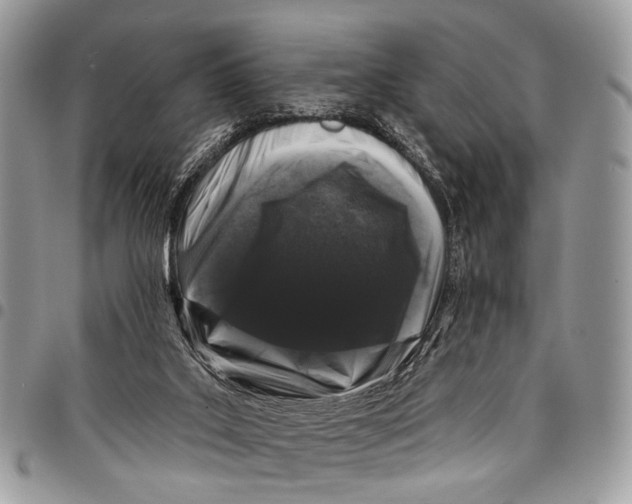 X0000097790019200803281733