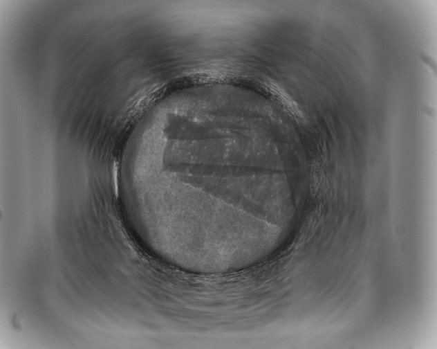 X0000097790022200803281733